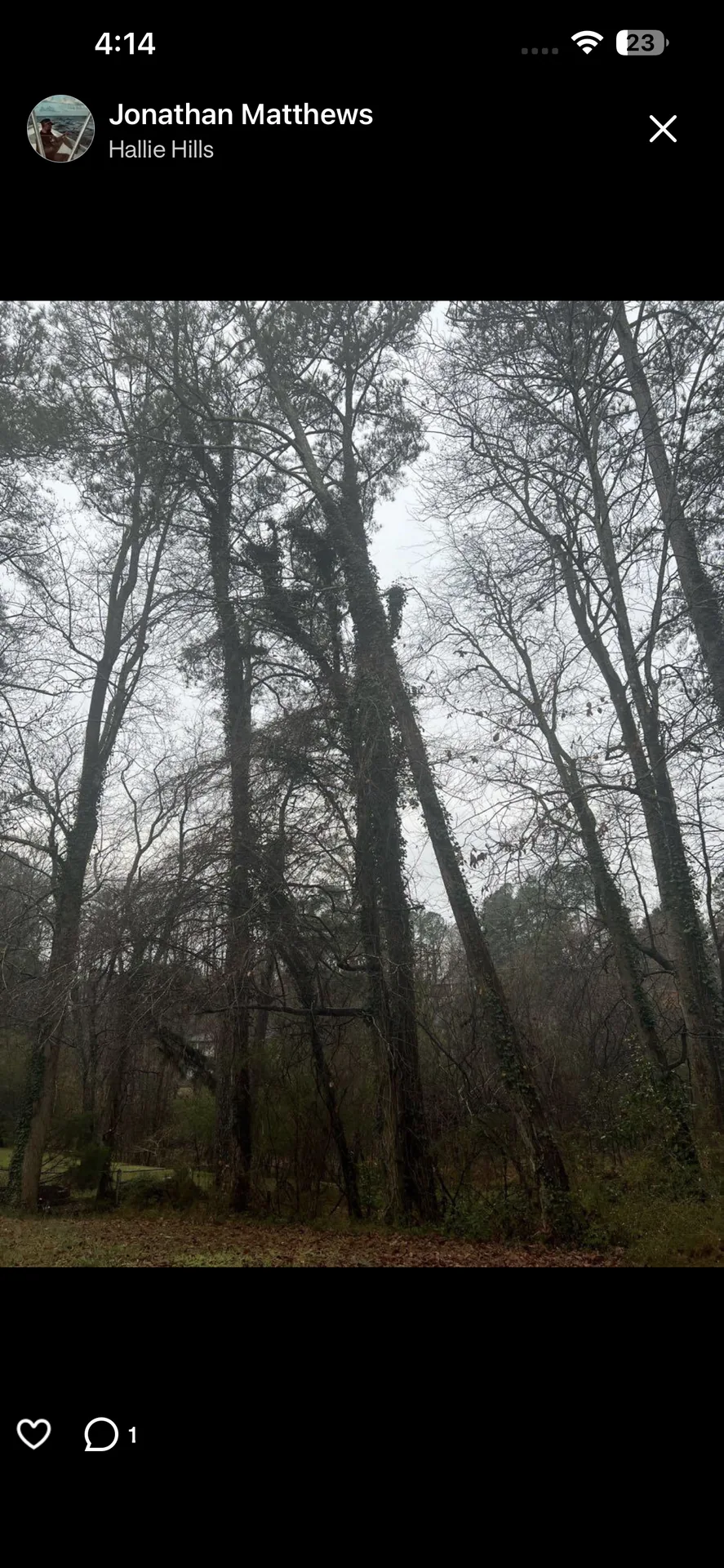 Tree Removal — ForestryWorx South Metro Atlanta